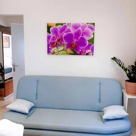 Orchid *
