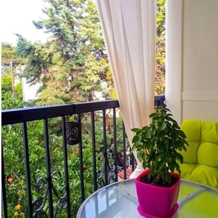 Orchid Apartment