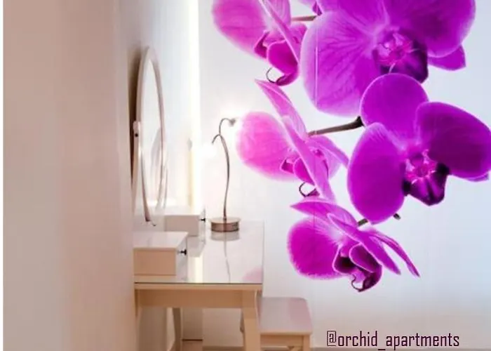 公寓 Orchid *
