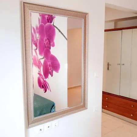 Orchid דירה