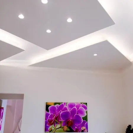 Orchid 塞尔米